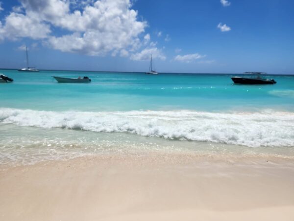 Tour hacia Isla Saona